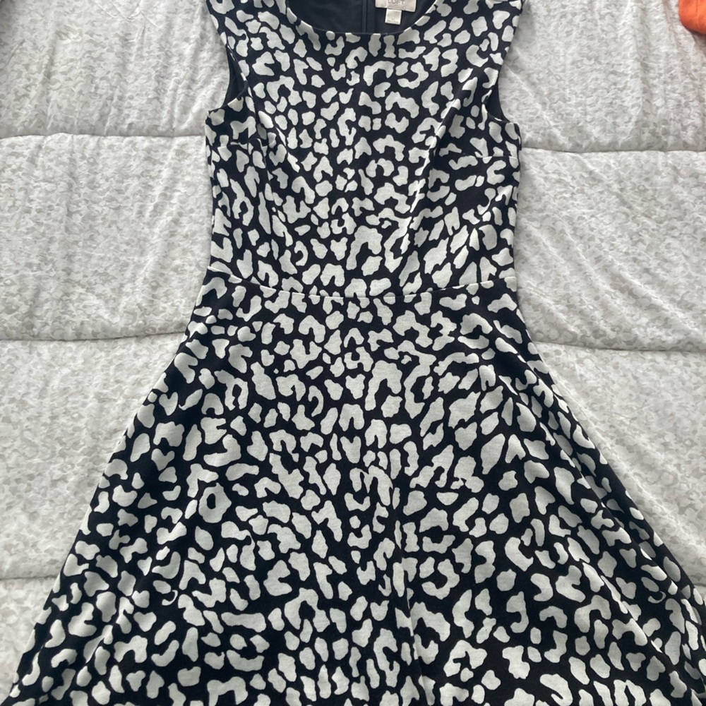 Short Leopard Cotton dress